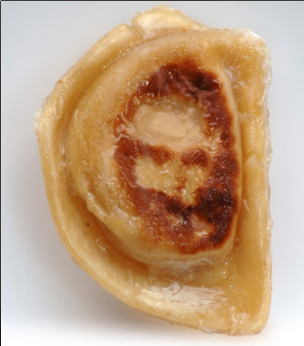 Donna Lee said she saw the face of Jesus in this pierogi, a kind of Polish dumpling, she made for Easter dinner in 2005 at her home in Point Place, a suburb of Toledo, Ohio. 