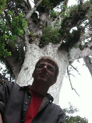 Northland - Tane Mahuta
