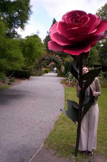 Christchurch - gardens II
