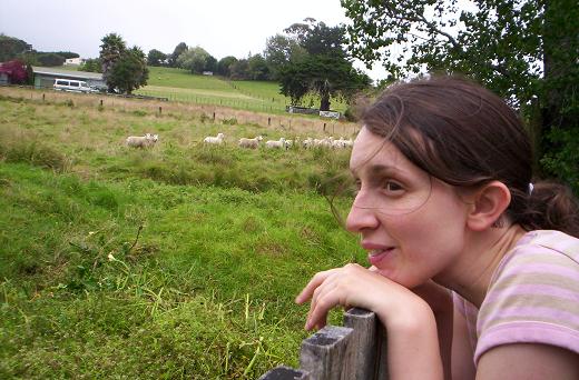 Warkworth - pastoral scene
Warkworth - pastoral scene