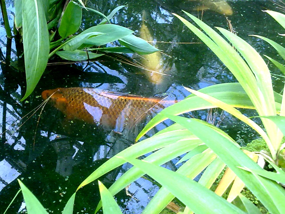 Four Worlds at Kew
Four Worlds at Kew