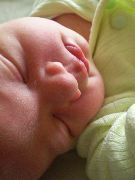 ?Fausta! + 1 week
?Fausta! + 1 week