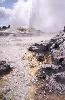 Rotorua - geyser
