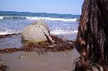 Moeraki boulders
