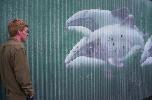 Kaikoura - watching whales (landlubber's version)
