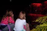 New Plymouth - festival of lights
