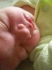 ?Fausta! + 1 week

