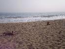 What the Pacific Ocean looks like from the other side
