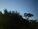 The only picture of a Toucan I managed to get...

