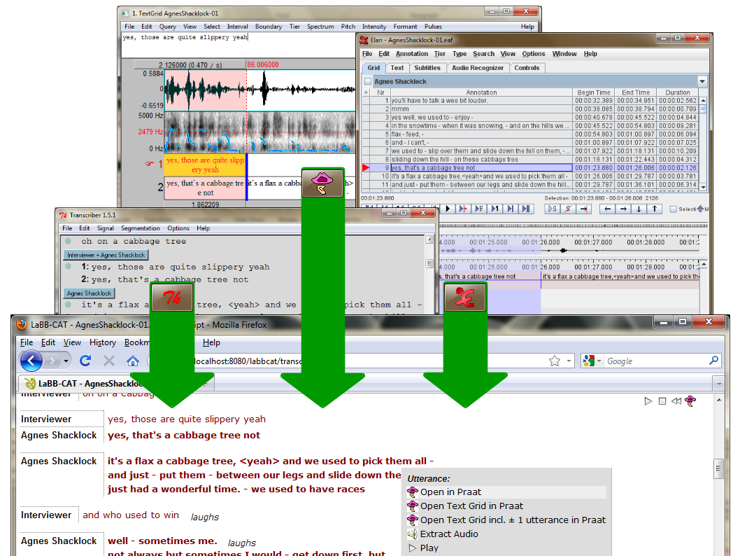 Media with transcripts of a variety of formats can be uploaded to LaBB-CAT.